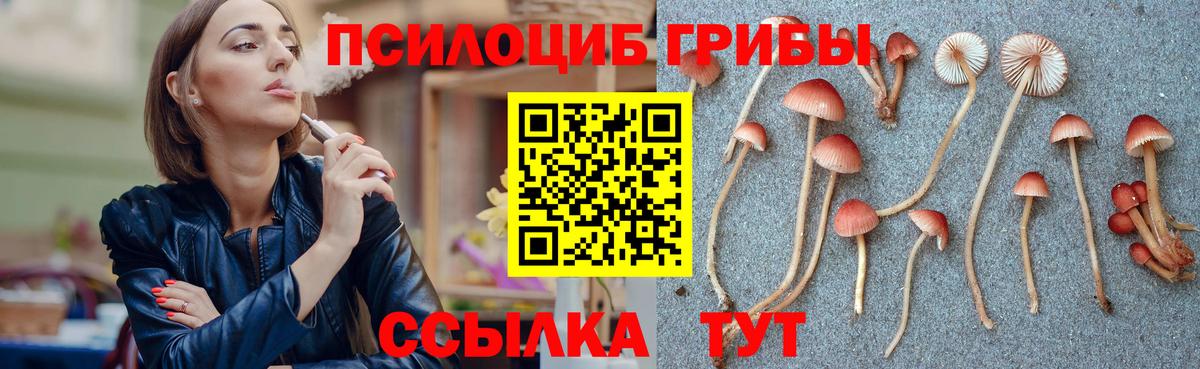 Усть-Джегута  цена   Вход с VPN  Галлюциногенные грибы ЛСД 