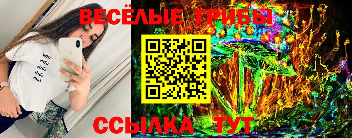 Галлюциногенные грибы GOLDEN TEACHER Усть-Джегута
